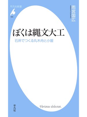 cover image of ぼくは縄文大工